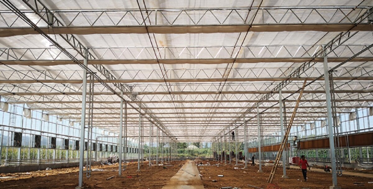 信橋鋼構(gòu)：打卡蒙陰農(nóng)業(yè)溫室大棚、青州黑牛養(yǎng)殖基地！(圖3)